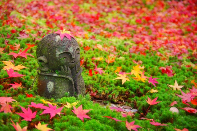 Autumn in Japan: 10 Best Things to Do