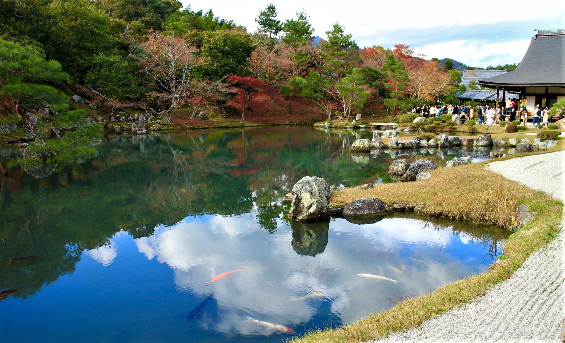 The landscape garden with pond at Tenryuji Temple