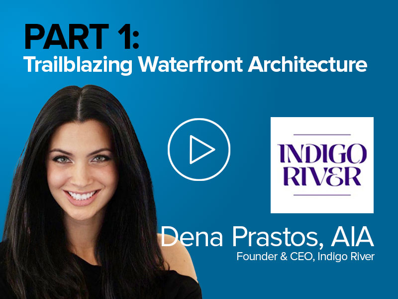 Dena Prastos' Whatsup podcast episode Elevating Business with IronOrbit's IT Solutions