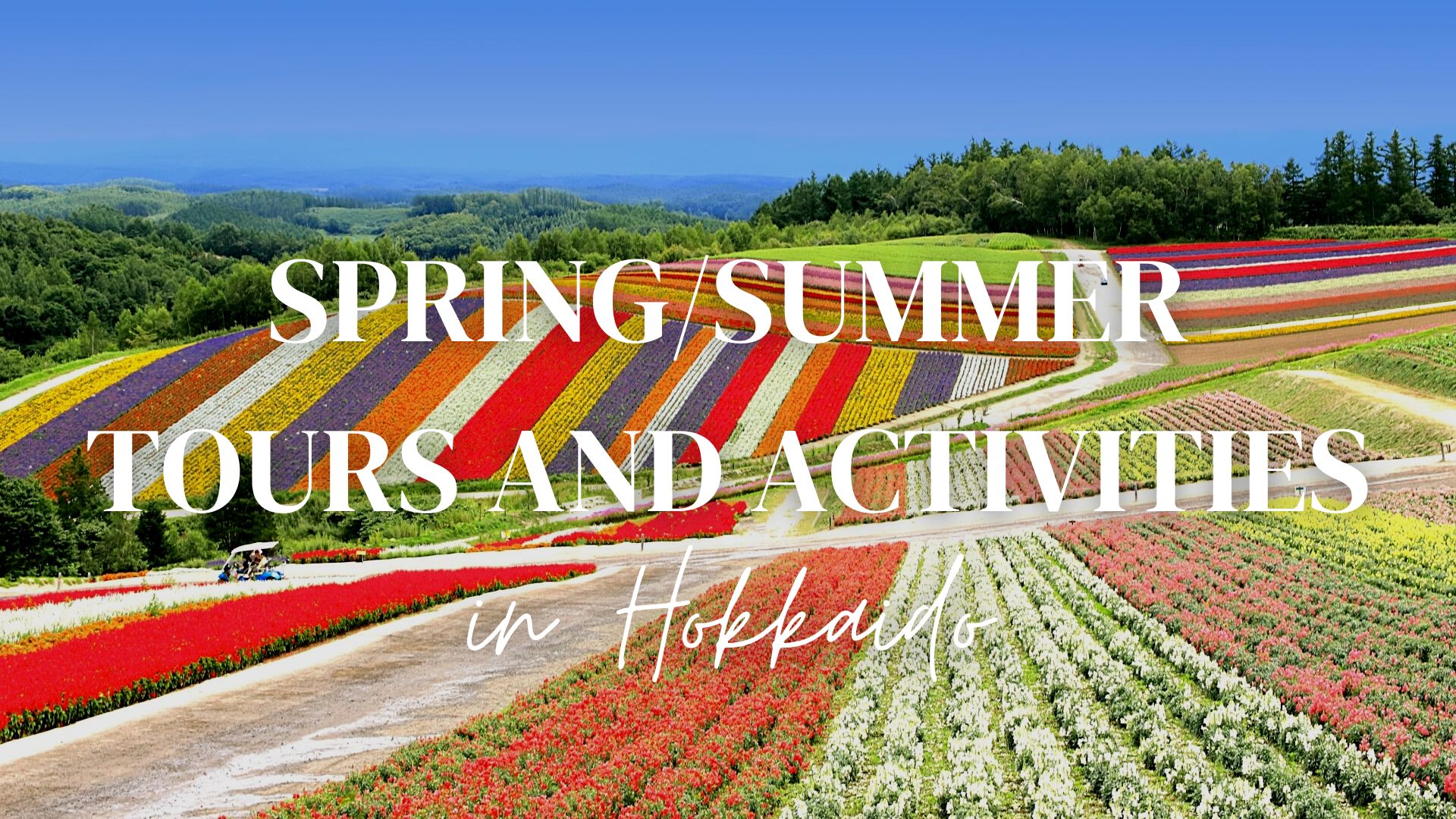 Best Hokkaido Tours and Activities in Spring/Summer 2023