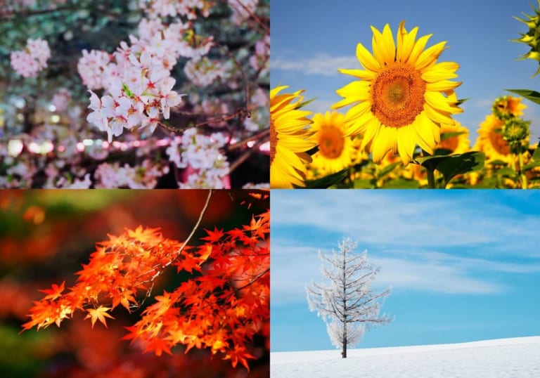 Four seasons in Japan
