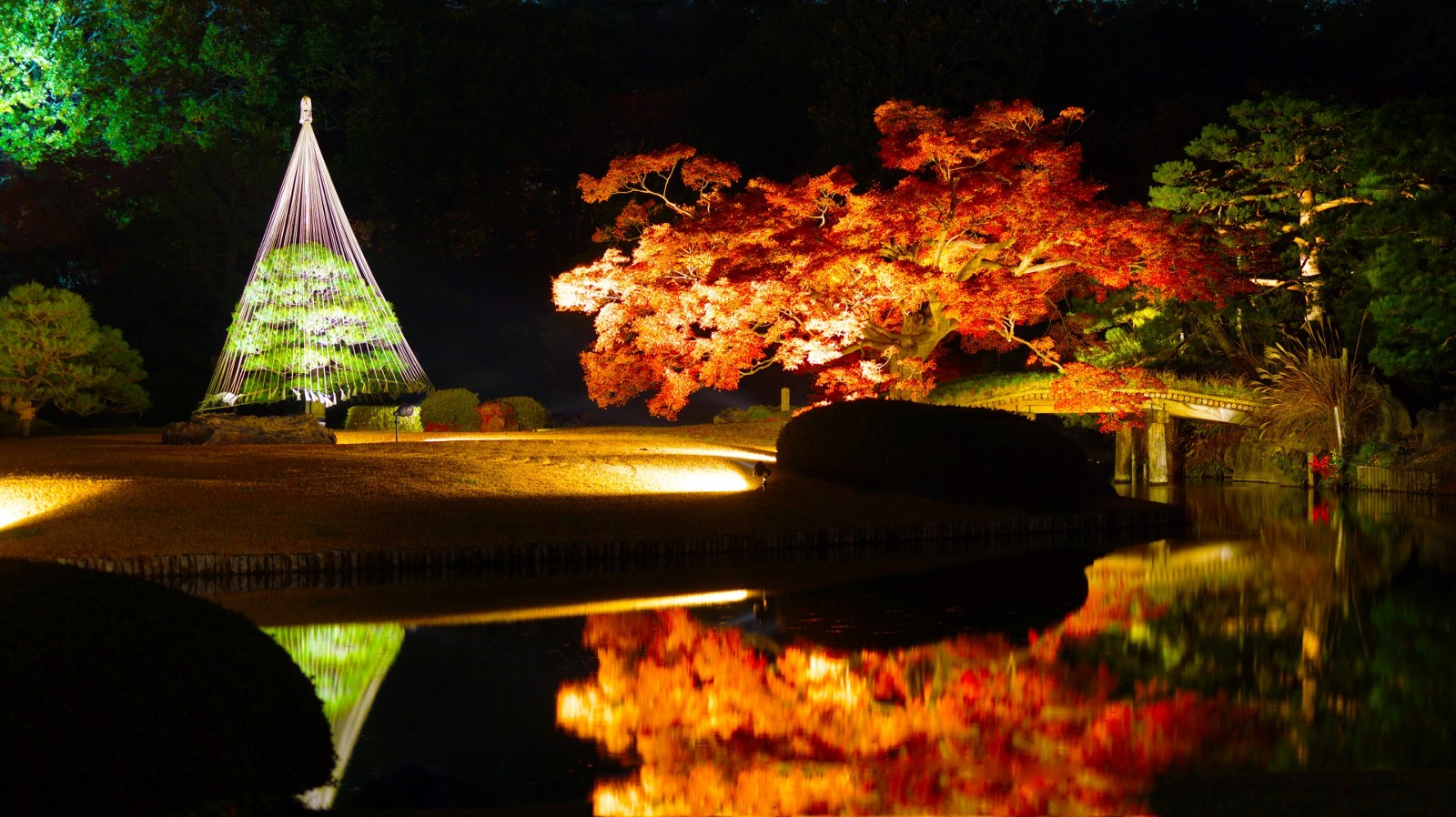 Traditional Japanese garden with autumn leaves and light up