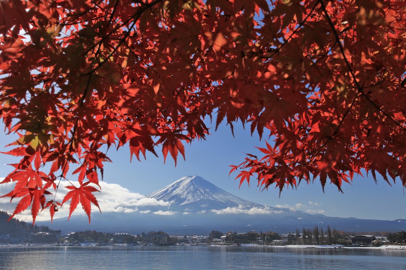 Mt Fuji and red maple leaves at Lake Kawaguchiko