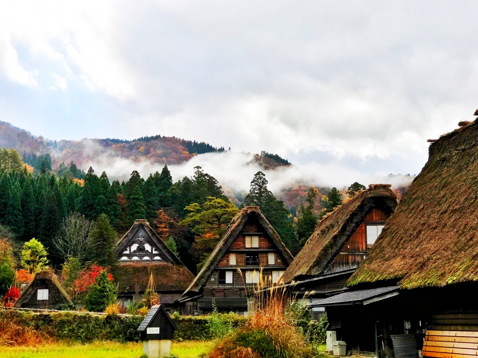 Shirakawago Village in autumn colour