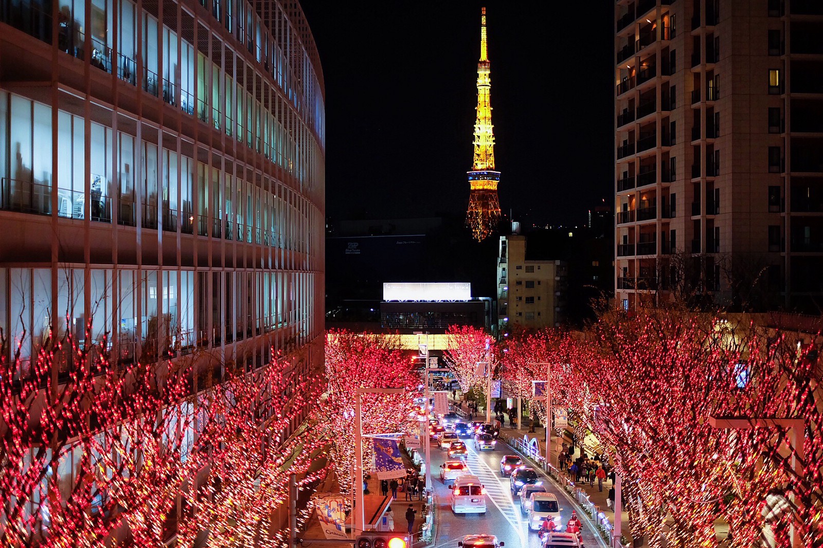 Best Things to Do in Japan in December