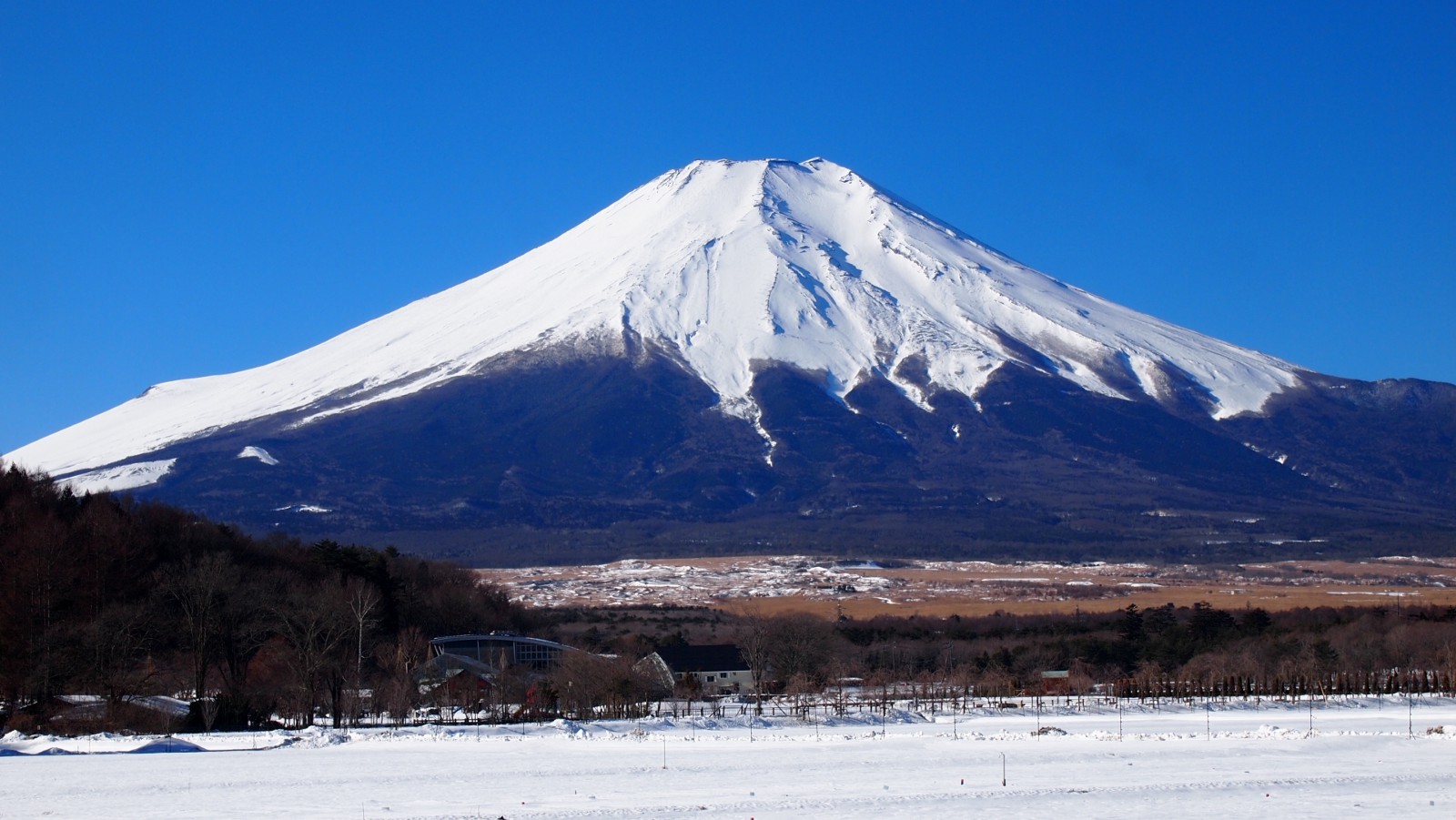 One Day Trips from Tokyo in Winter: 5 Best Places to Visit near Tokyo 2019-2020