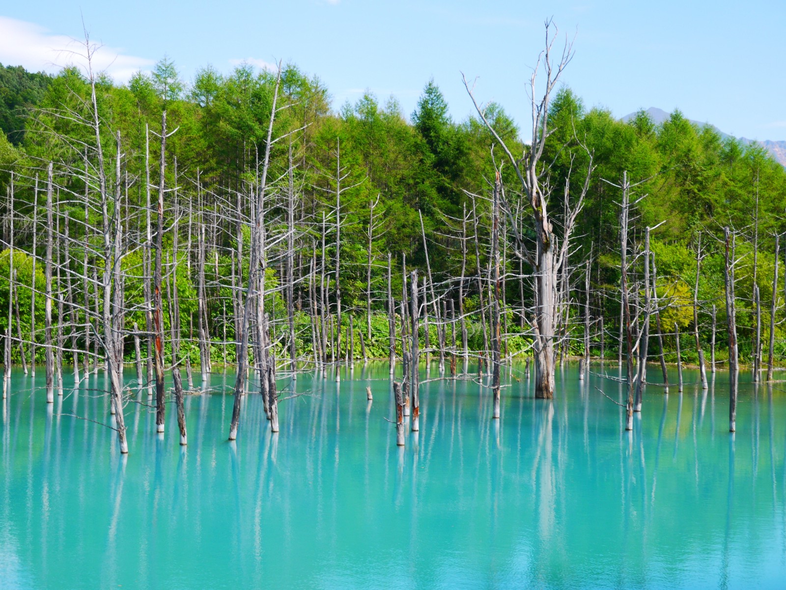 The picturesque Blue Pond in summer