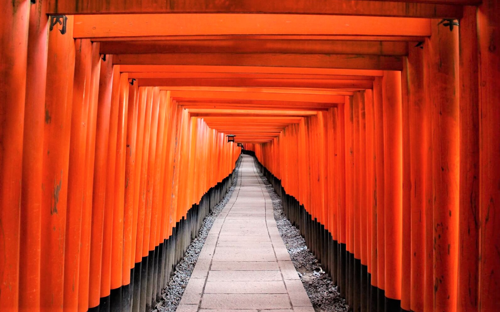 The picturesque vermilion torii gates at Fushimi Inari Taisha