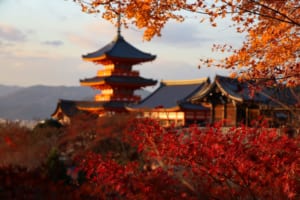 15 Best Places to Visit in Kyoto