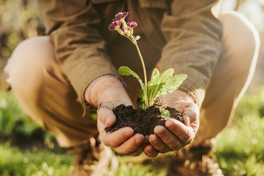 A flower is being moved from one environment to another