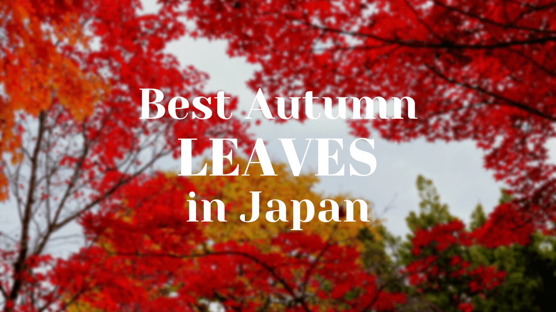 Best Autumn Leaves in Japan