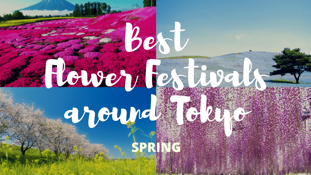 10 Must-Visit Flower Festivals around Tokyo in Spring!