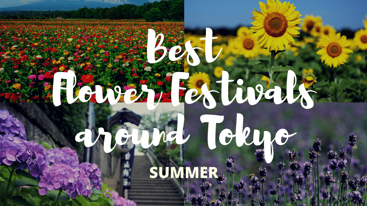 6 Must-Visit Flower Festivals around Tokyo in Summer!